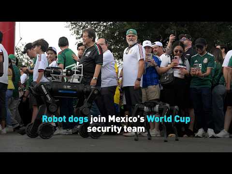 Robot dogs join Mexico's World Cup security team