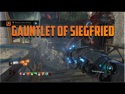 Call of Duty  "Gauntlets of Siegfried"