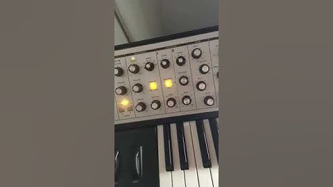 Moog Subphatty Synthesizer Snippet