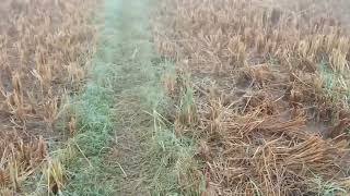 Hamare Apne Gaon Ka Desi Culture