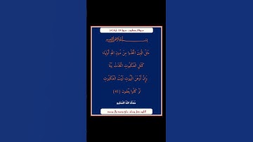 سورة العنكبوت - سورة 29 - اية 41