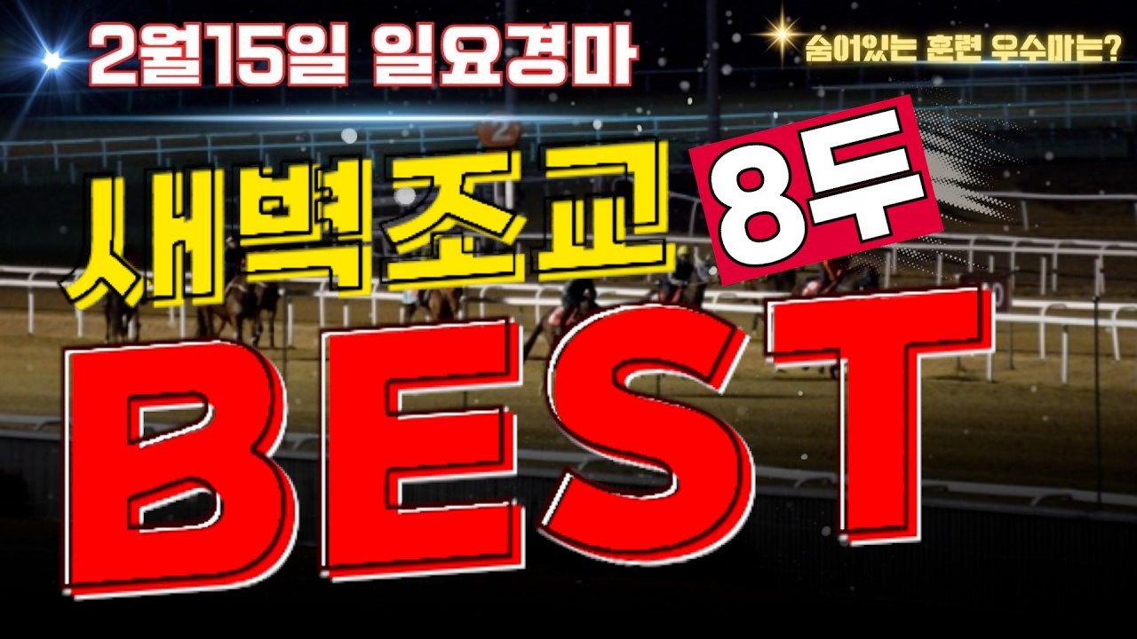 [굽소리경마] 설 휴장전 마지막 경마일!! 무조건 이겨야 되는날!! 승리 안길 훈련 우수마 8두!!#새벽조교#과천경마장#조교우수마#굽소리경마