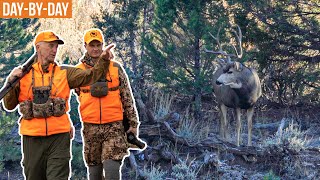 Looking For The BIG ONE! | Colorado Deer with Matthew and Randy Newberg (ep.1)