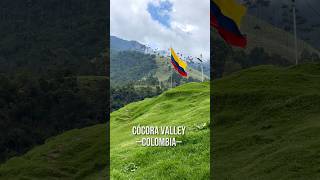 Tallest palm trees in the world - Colombia
