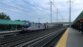 Silver Meteor 97 Taps The Horn