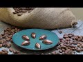 Chocolat maison de la fve a la tablette  recette explications