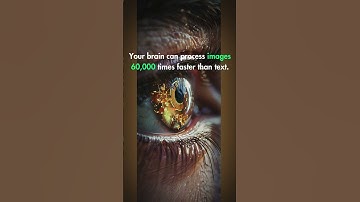 Your Brain Processes Images 60,000x Faster Than Text #brainlearning #didyouknowfacts #facts