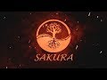 Black Desert - Sakura Guild [Music video]