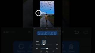Birds Flying Sky Ad  Vn Editing Parvneditor  vnappeditinghindi  vnappediting