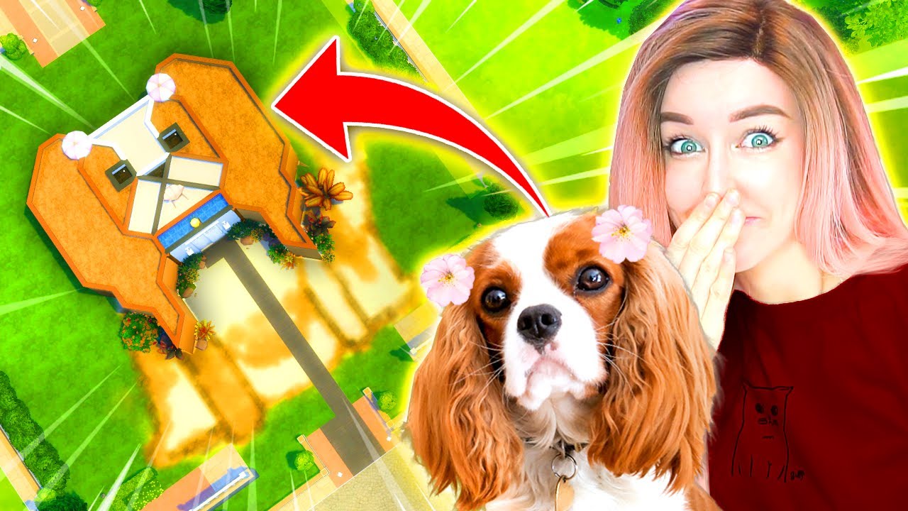 I built my dog her DREAM house shaped like her because I love her so much 🐶 YouTube