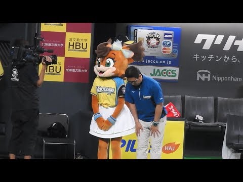 ＜2017.5.27ソフトバンク戦＞メンバー表の受け取り役がすっかりはまってきたポリーちゃん