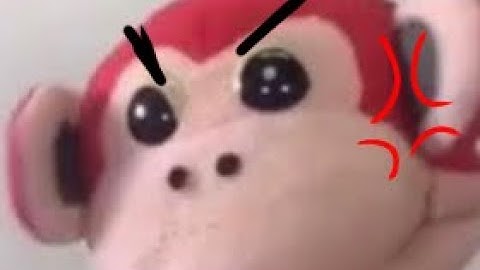 El mono silabo 👁👄👁