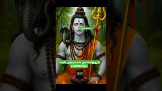 #shortsfeed #motivation #trending #dailyvlog #viralvedio #murugan. #youtubershorts #petlovers #tips