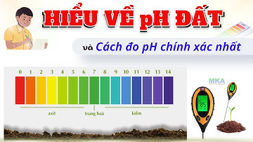 Nông dân cần biết - Hiểu về pH đất và cách đo pH chính xác nhất (phần 1)