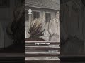 علي عزت بيغوفيتش وزوجته.. قصة حب وسط الحرب