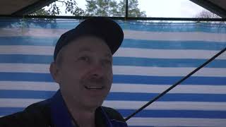 видео: Грибів в посадці не знайшли,  вони були в посилкі. картинка: Грибів в посадці не знайшли,  вони були в посилкі.
