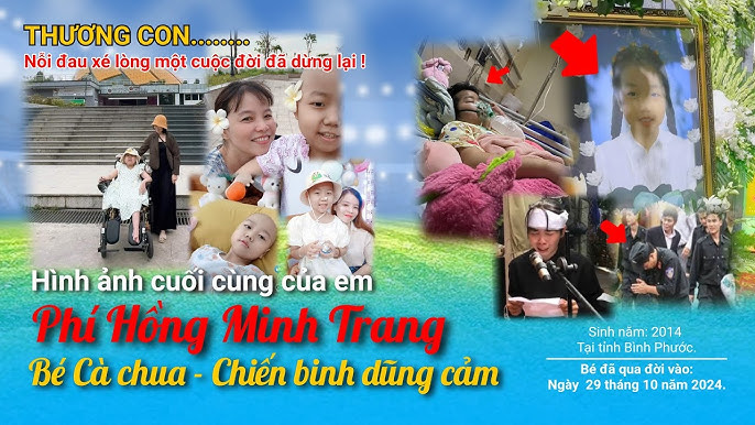 Image hình ảnh hình ảnh hình ảnh hình ảnh hình ảnh hình ảnh hình ảnh hình ảnh hình ảnh Hồng Quang Minh - Hình ảnh cuối cùng của em PHÍ HỒNG MINH TRANG (bé Cà chua) (2014 ...