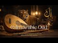 Relaxing Oud Music Arabic Oud Music For Sleep Meditation Calm Relaxing Oud Music Arabic Oud Music For Sleep Meditation Calm