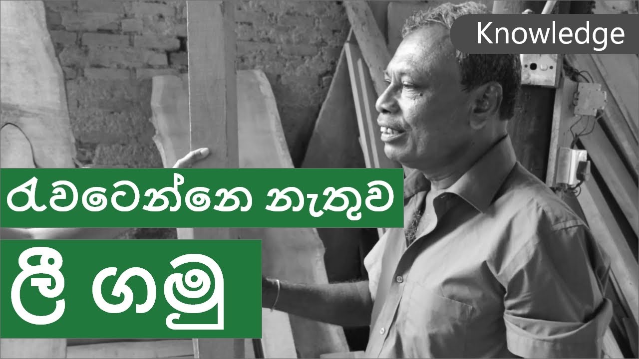 නිවසකට සුදුසු ලී වර්ග හරියටම තෝරගන්නෙ කොහොමද? | How to select woods for your house | Heavenz.lk