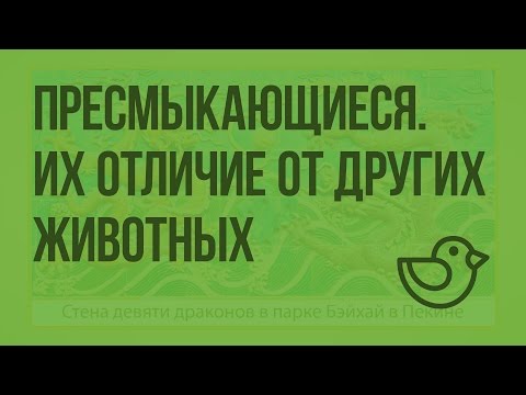 Пресмыкающиеся. Отличие пресмыкающихся от других животных. Видеоурок по окружающему миру 1 класс