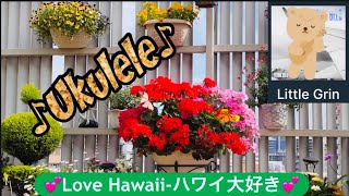 ♪Hawaii♪Hawaiian Music Ukulele  #hawaii #huladance #ukulele #aloha #ハワイ #フラダンス #ハワイ好き #ハワイ音楽 by shomusic 37 views 2 weeks ago 1 minute, 57 seconds