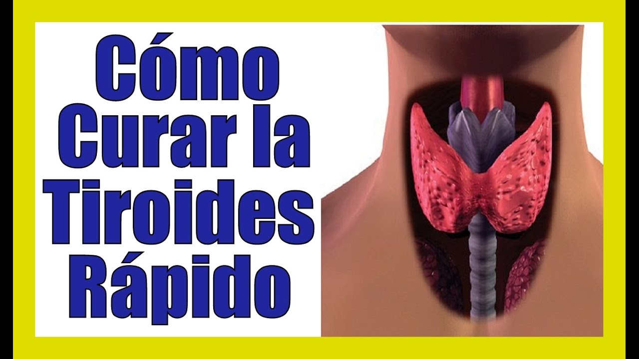 Como CURAR La TIROIDES NATURALMENTE Controlar Sin Medicacion Tratamiento - Remedios Caseros 2026