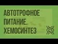 Автотрофное питание. Хемосинтез. Видеоурок по биологии 10 класс