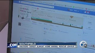 Hackers target Almost Home Animal Rescue