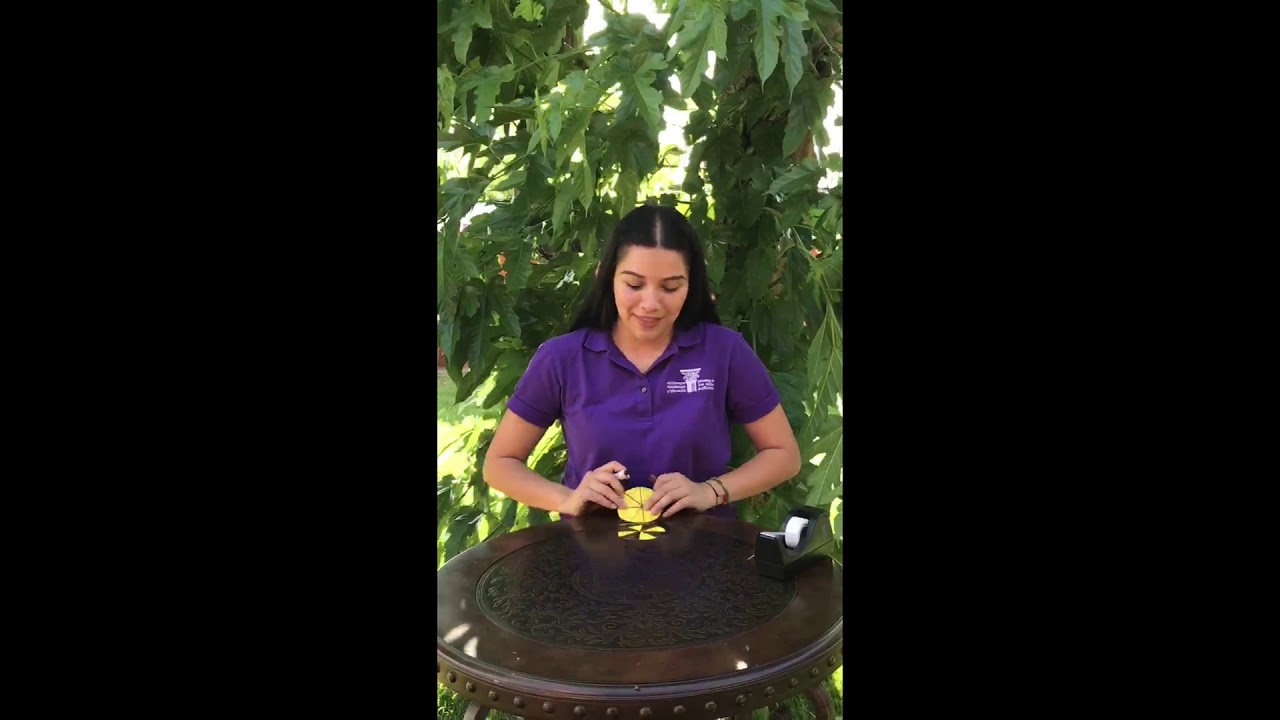 Spinning Top (Spanish) YouTube