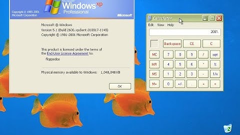 Installing Windows XP build 2600 (RTM)