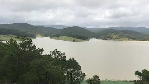 Cây Thông cô đơn Đà Lạt