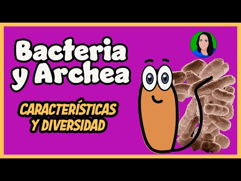 Bacteria y Archaea | Características de dominios y diversidad |