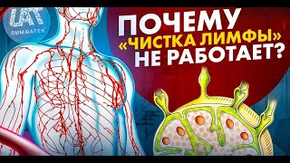картинка: Лимфа грязной не бывает. Почему? Ответ здесь.