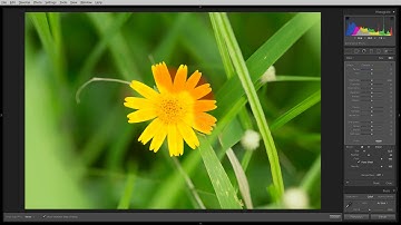 Lightroom  Classic NEW FEATURE: Refined Masking tools!
