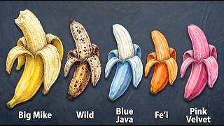 Everything You Never Knew About Bananas