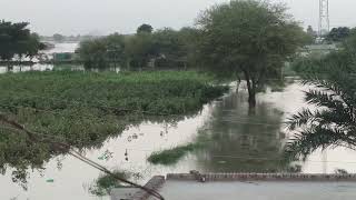 Bahawalpur Main Darya Satluj Ki tabahi