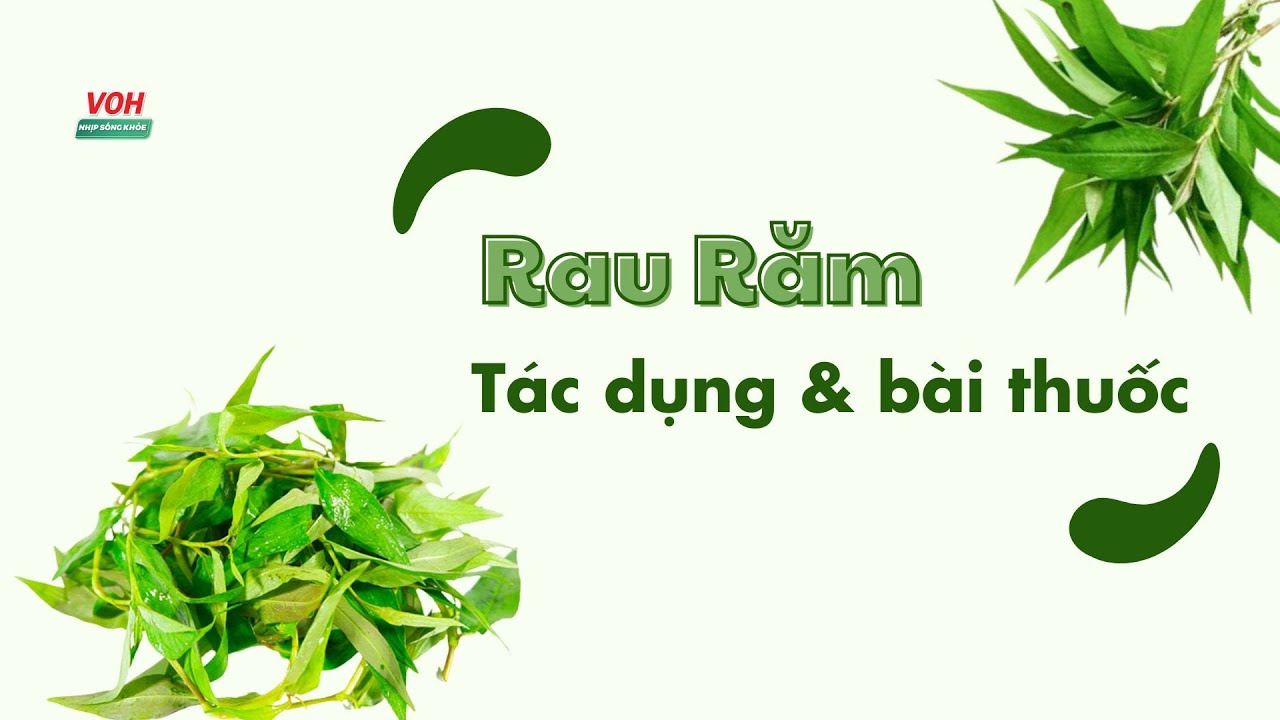 Ăn Rau Răm Nhiều Có Tốt Không? 7 Tác Dụng Của Rau Răm & Các Bài Thuốc ...