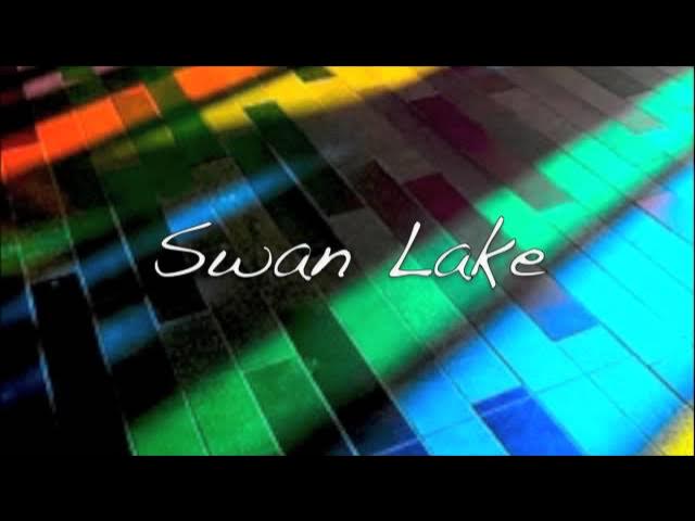 Swan Lake (Remix)