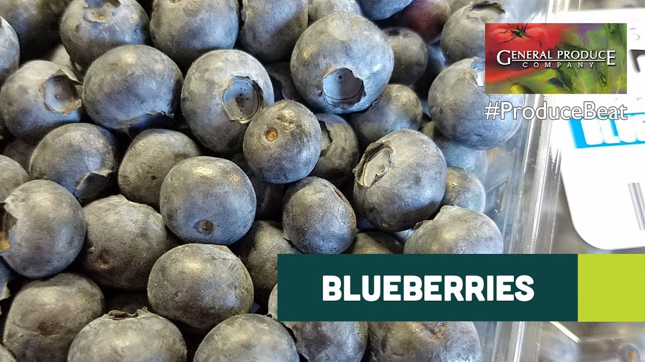California Blueberries Produce Beat YouTube