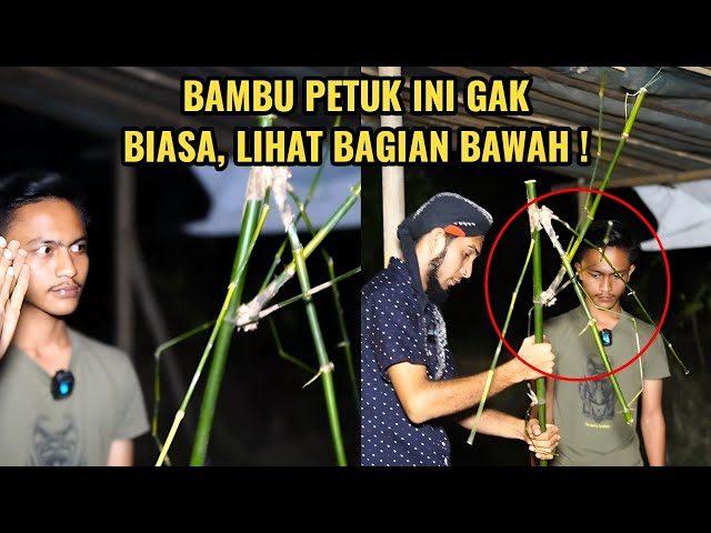 INI BAMBU PETUK ASLI PAMAN ! class=