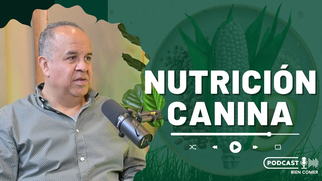 Qué debe comer un PERRO [con Dr. Carlos Alberto Gutiérrez] #Vidcast