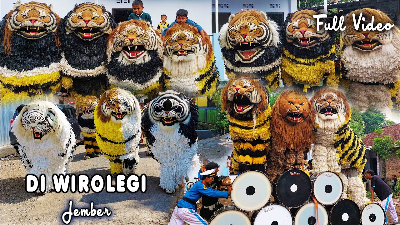 CAN MACANAN DAN DRUMBAND SINGO MANGGALA DI WIROLEGI JEMBER FULL VIDEO.mp4