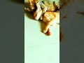 Rosy and Tina's play #cat #catvideos