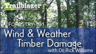 Wind and Weather Timber Damage:  Forestry 101 With Dr. Rick Williams