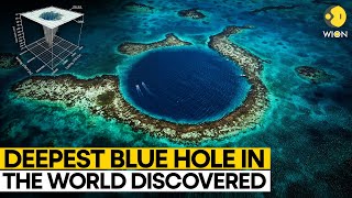 World's deepest Blue Hole discovered in Mexico | WION Originals