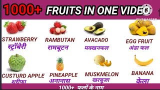 1000 Fruits Names in English- Build your vocabulary|Popular 50+fruits names in English with pictures