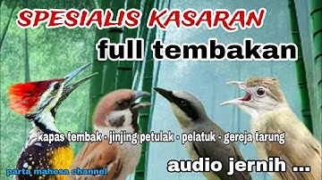 Masteran Spesialis Tembakan Kasar Kapas tembak, Jinjing petulak, Gereja tarung, Pelatuk bawang