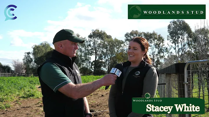 Campbells Comments with Stacey White from Woodland...