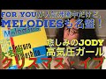 【レコード紹介】山下達郎 MELODIES クリスマス・イブ収録【アナログレコード】80年代邦楽シティポップ名盤  Tatsuro Yamashita