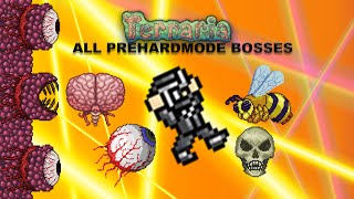 In this video i experience some crazy world generation and manage to
defeat all of the pre-hardmode bosses under 5 minutes!!! wow!!! is
definitely li...